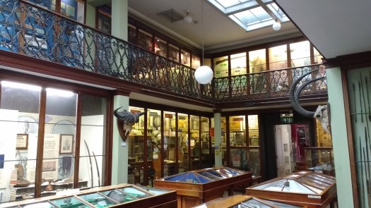 Wisbech & Fenland Museum